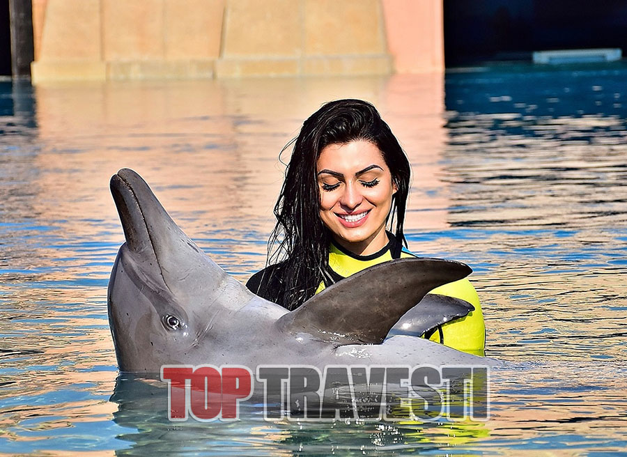 Acompanhante Top Travesti