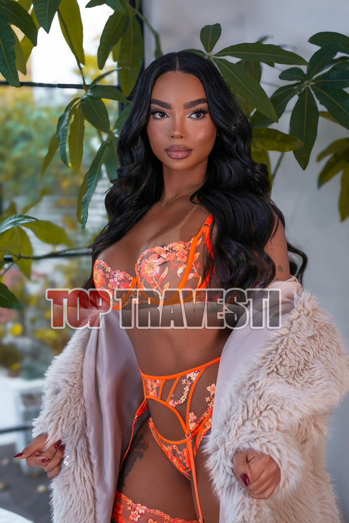 Acompanhante Top Travesti
