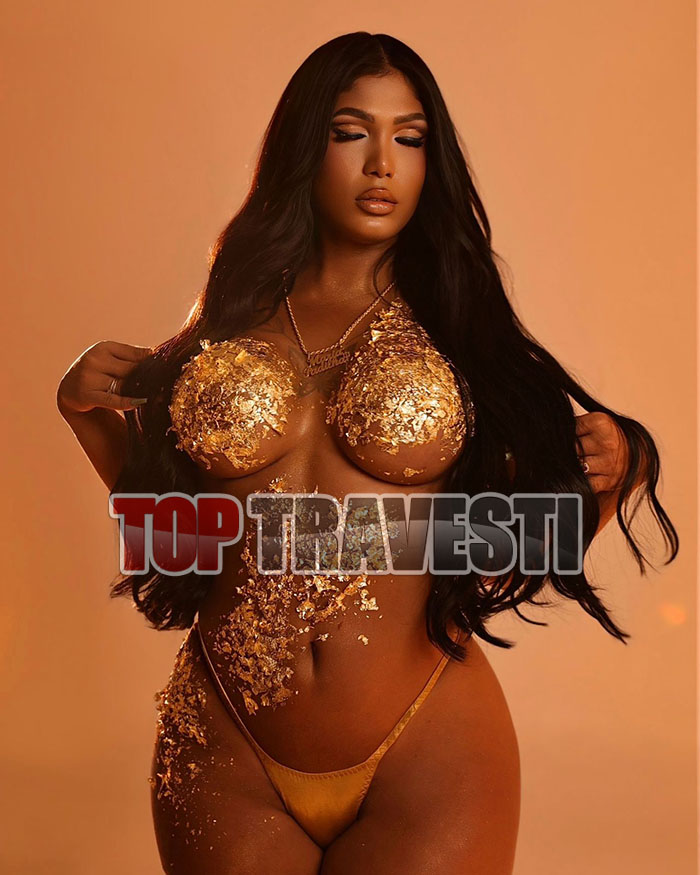 Acompanhante Top Travesti