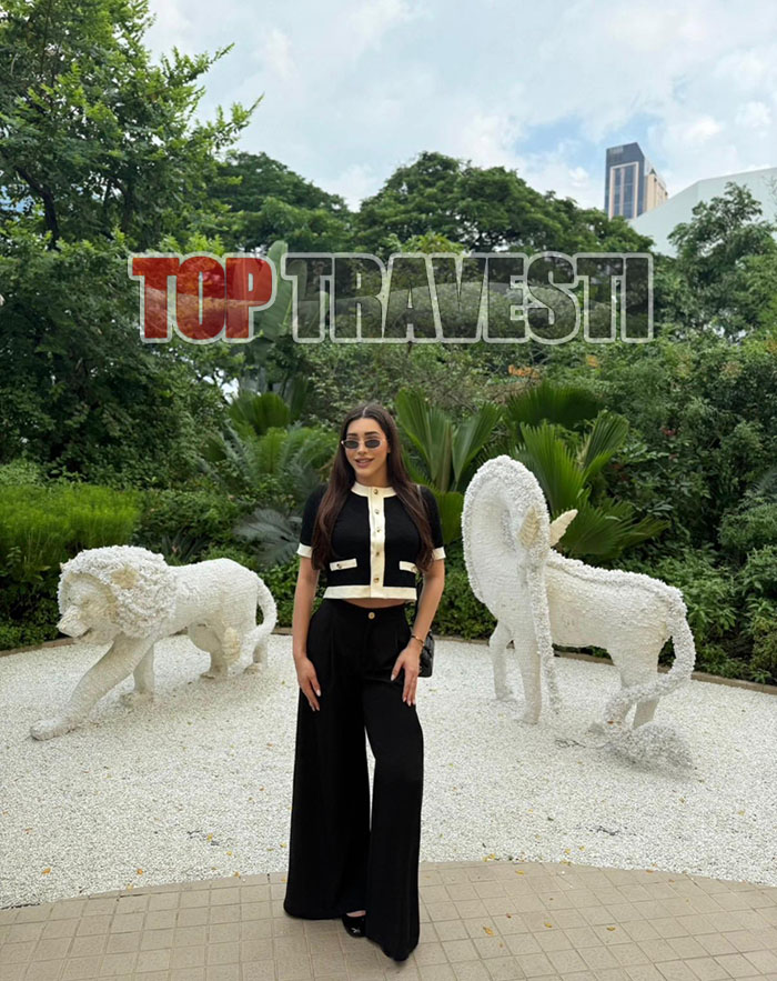 Acompanhante Top Travesti