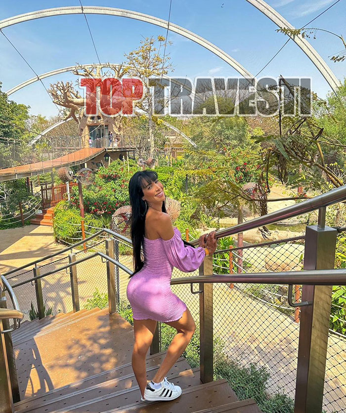 Acompanhante Top Travesti